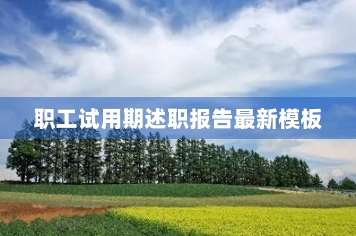 职工试用期述职报告最新模板