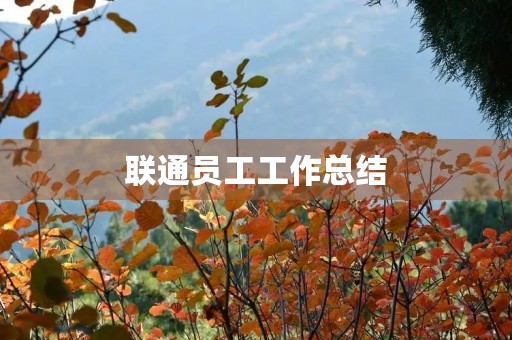 联通员工工作总结