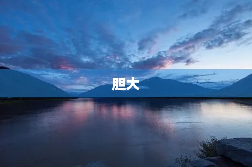 胆大 胆大