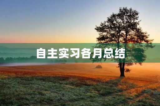 自主实习各月总结