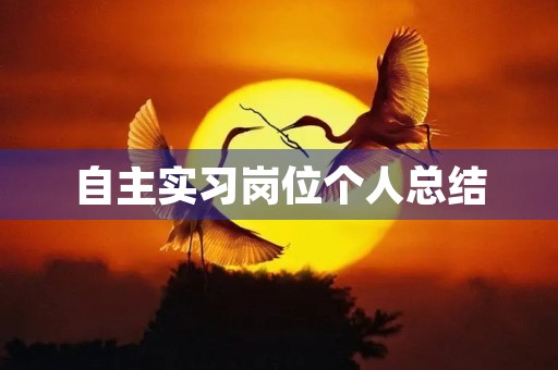 自主实习岗位个人总结