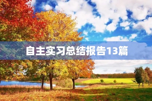 自主实习总结报告13篇