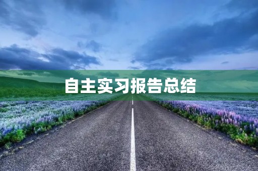 自主实习报告总结