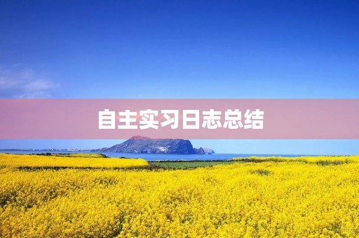 自主实习日志总结