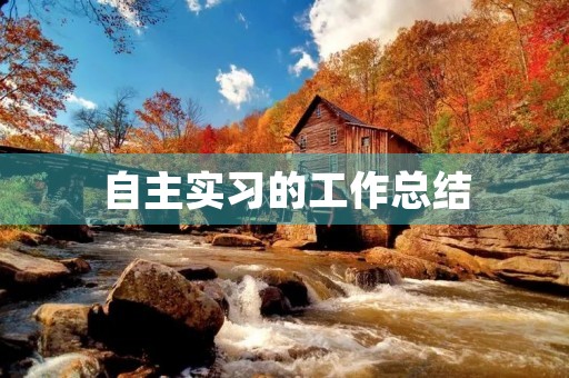 自主实习的工作总结 自主实习的工作总结