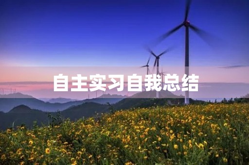 自主实习自我总结