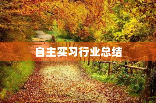 自主实习行业总结