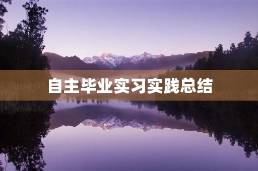 自主毕业实习实践总结 自主毕业实习实践总结