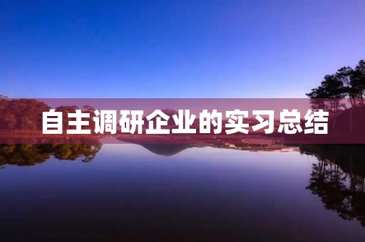自主调研企业的实习总结