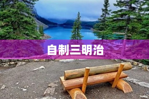 自制三明治