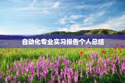 自动化专业实习报告个人总结