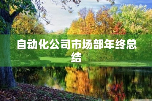 自动化公司市场部年终总结