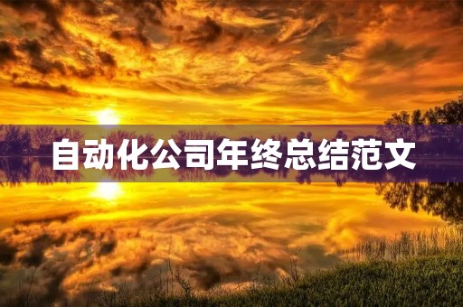 自动化公司年终总结范文