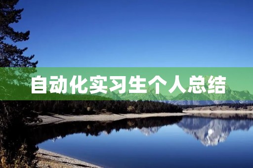 自动化实习生个人总结