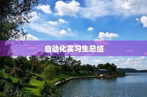 自动化实习生总结 自动化实习生总结