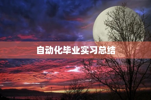 自动化毕业实习总结
