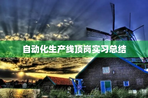 自动化生产线顶岗实习总结