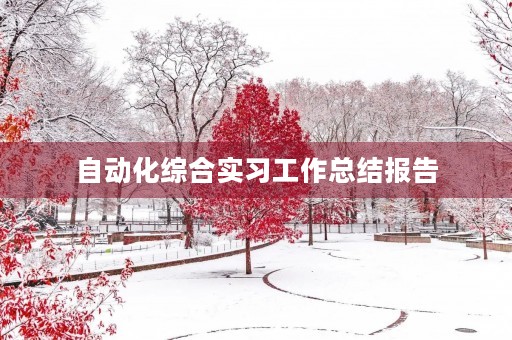 自动化综合实习工作总结报告
