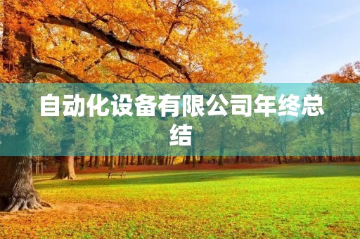 自动化设备有限公司年终总结