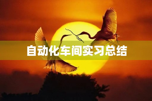自动化车间实习总结