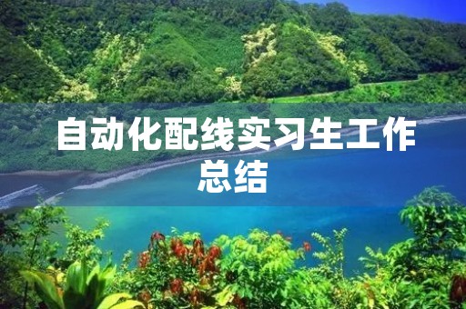 自动化配线实习生工作总结