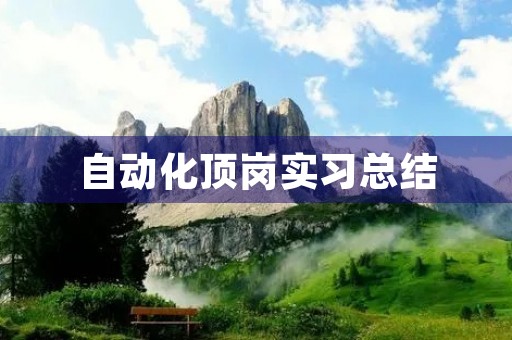 自动化顶岗实习总结