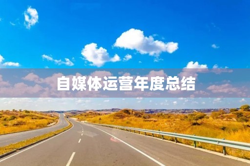 自媒体运营年度总结