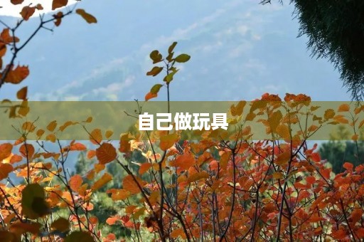 自己做玩具