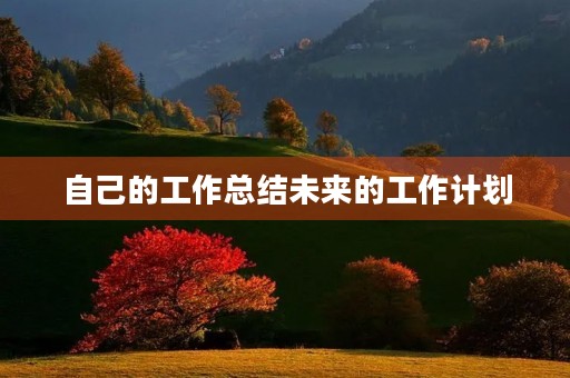 自己的工作总结未来的工作计划