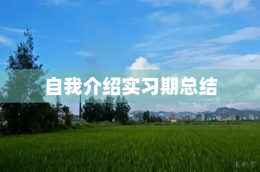 自我介绍实习期总结