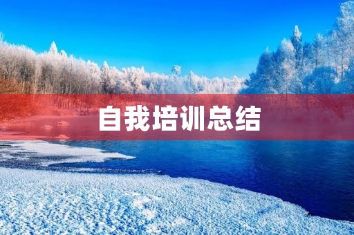 自我培训总结