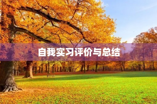 自我实习评价与总结