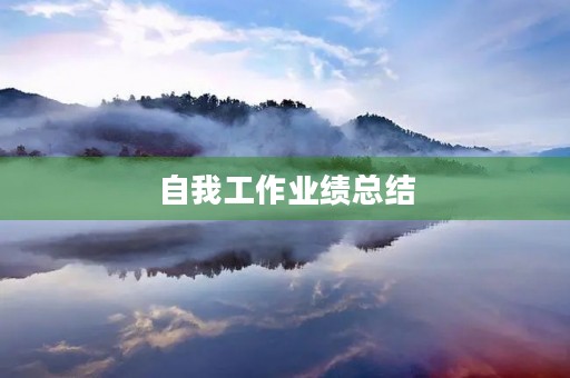 自我工作业绩总结