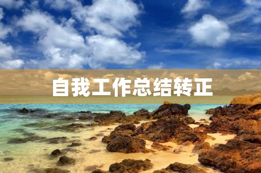 自我工作总结转正