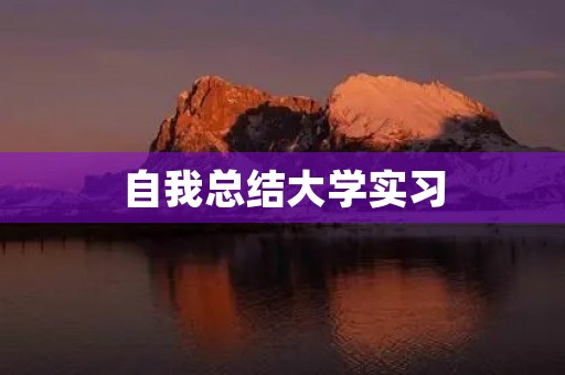 自我总结大学实习