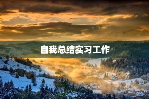 自我总结实习工作