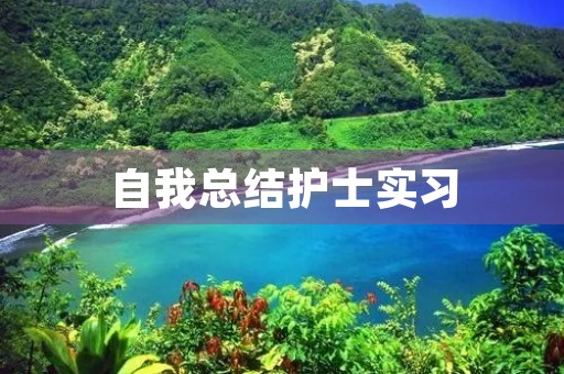 自我总结护士实习