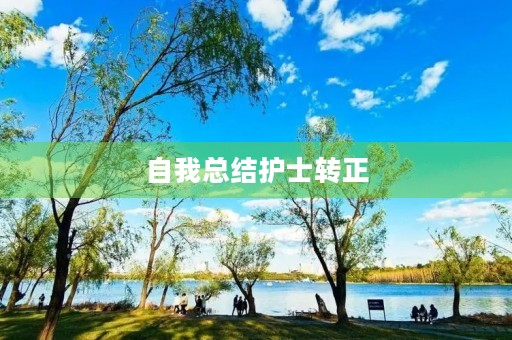 自我总结护士转正
