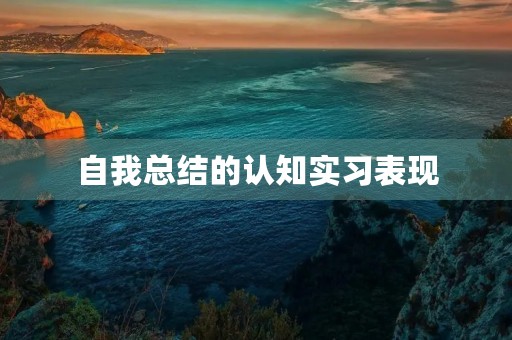 自我总结的认知实习表现