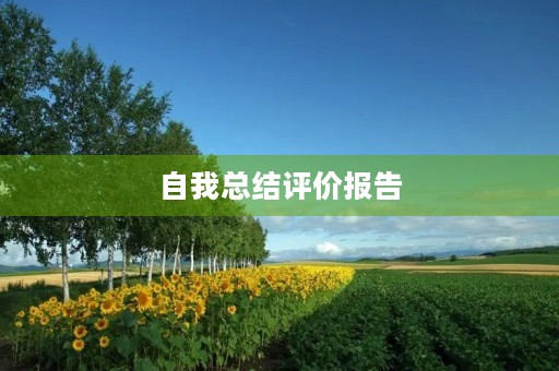 自我总结评价报告