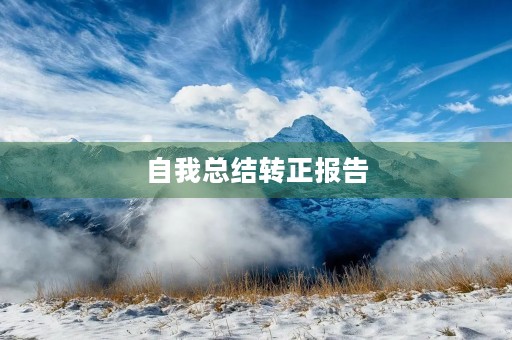 自我总结转正报告