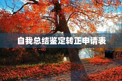 自我总结鉴定转正申请表