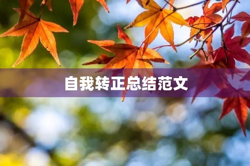 自我转正总结范文