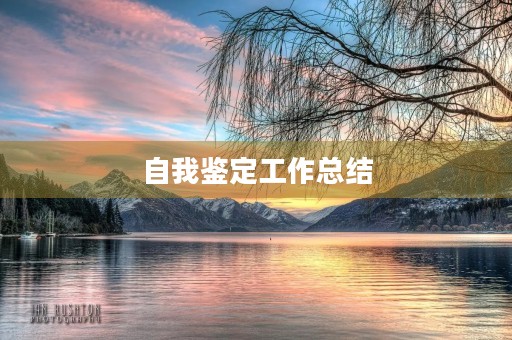自我鉴定工作总结