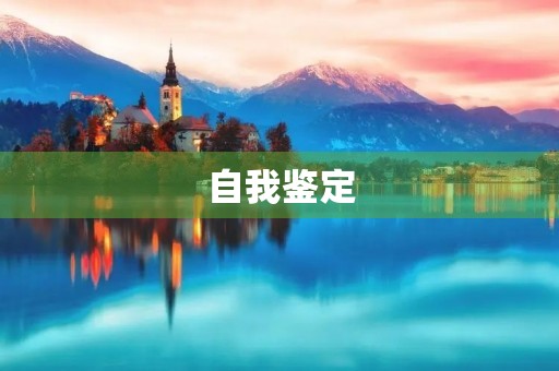 自我鉴定