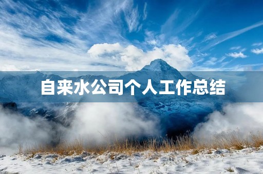 自来水公司个人工作总结