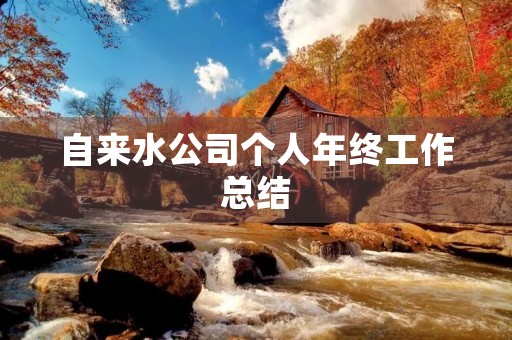 自来水公司个人年终工作总结