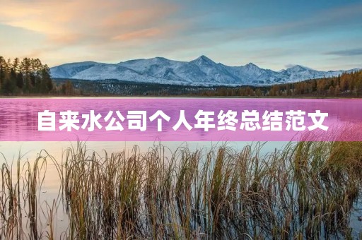 自来水公司个人年终总结范文