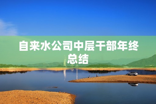 自来水公司中层干部年终总结