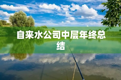 自来水公司中层年终总结